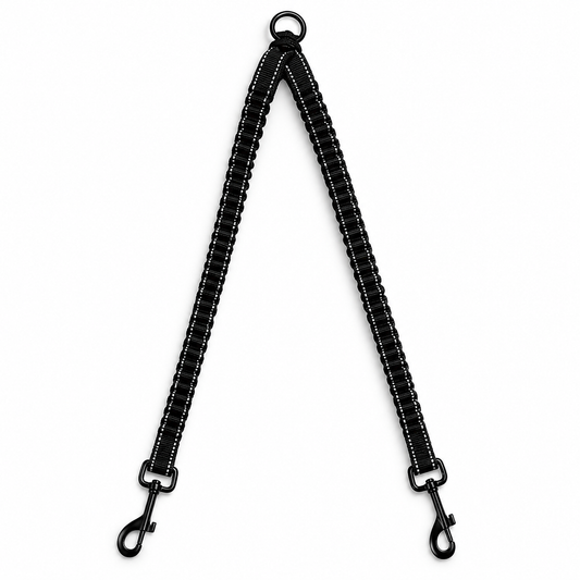 DuoWalk Control Leash