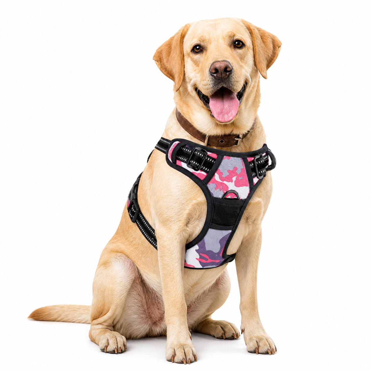 Anti-pull Dog Harness