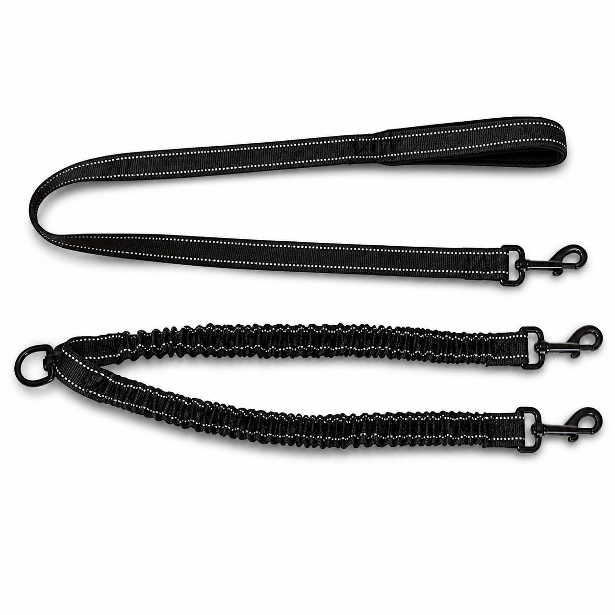 DuoWalk Control Leash