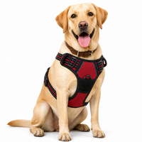 Anti-pull Dog Harness