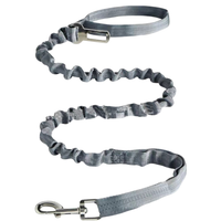 Anti-Pull Comfort Leash