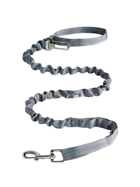Anti-Pull Comfort Leash