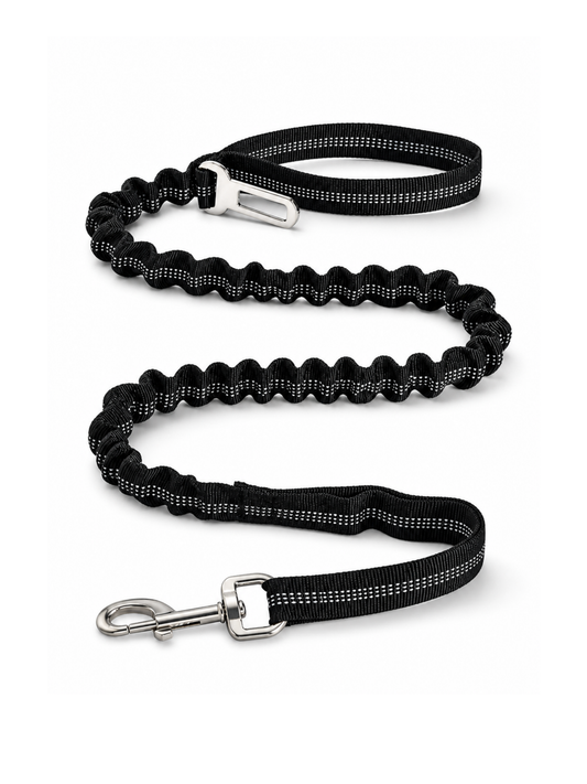 Anti-Pull Comfort Leash