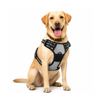 Anti-pull Dog Harness